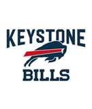 Keystone Bills